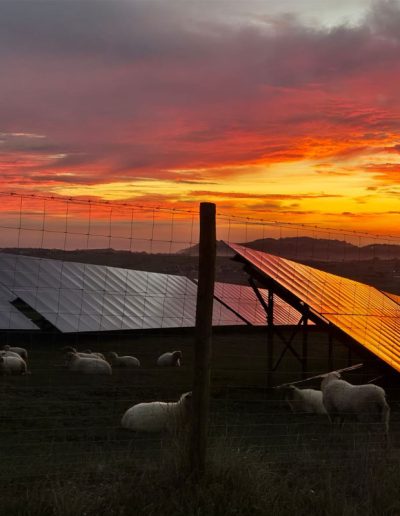 instalación de 1000Kw de placas solares en Cantabria