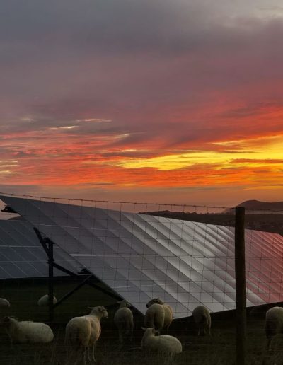 instalación de 1000Kw de placas solares en Cantabria